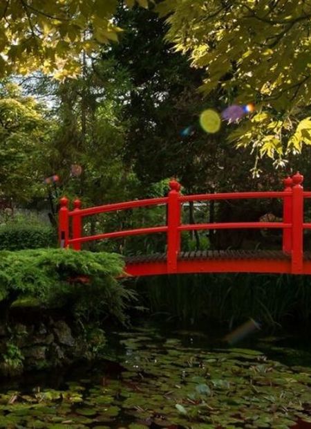 Red bridge over lily pond at cliff at lyons