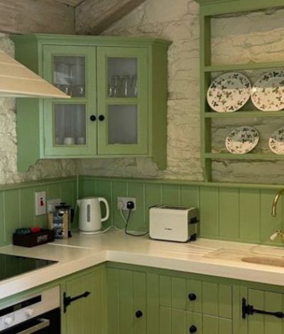 Stylish kitchen with green timber panneling
