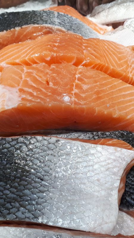 Perfect salmon fields form wild caught fishermen in ireland
