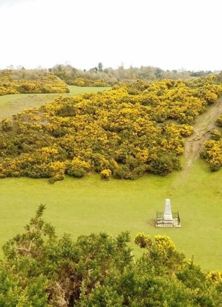 Country estate accommodation grounds neaar Dublin