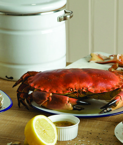Crab meal with wooden table and beer