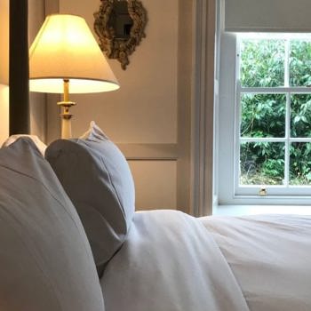 Luxurious hotel suite with garden foliage view fresh linen and white windows
