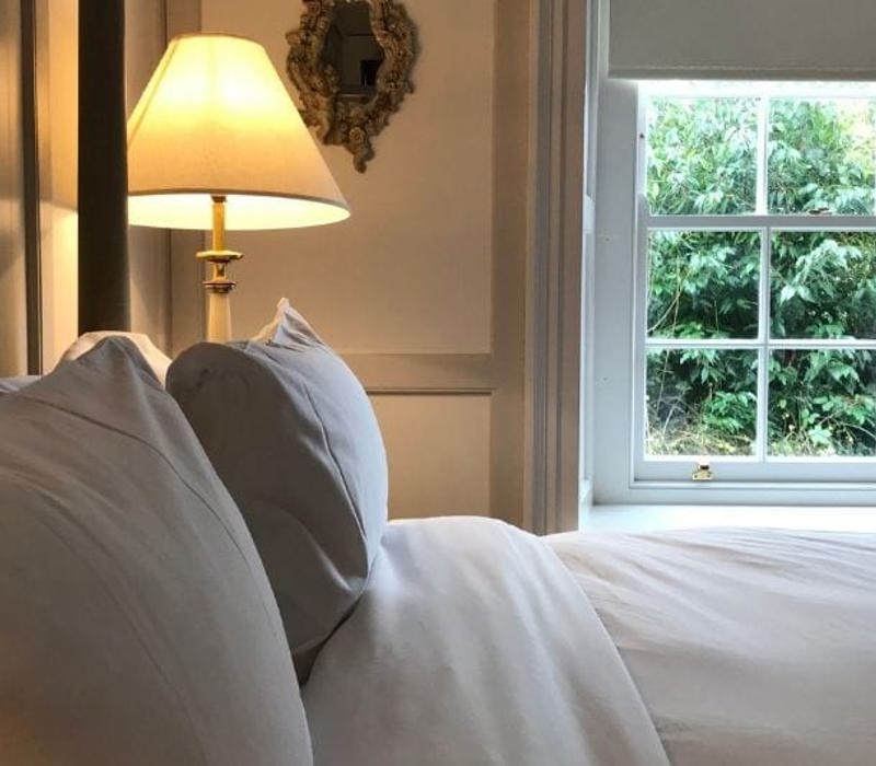 Luxurious hotel suite with garden foliage view fresh linen and white windows