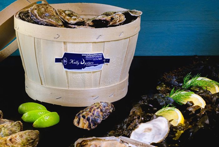 Bucket of kelly oysters in Ireland