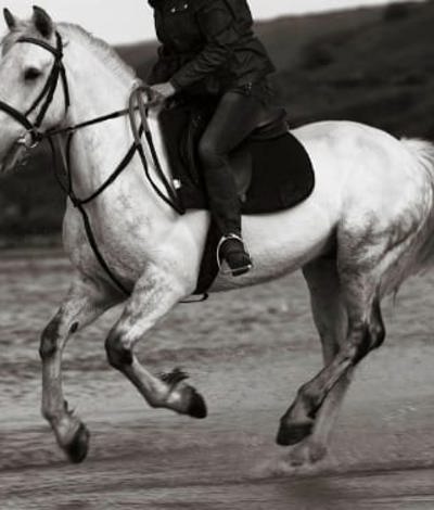 Rising a horse on the beach near dublin