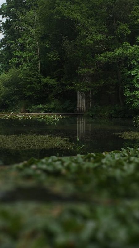 Luxury country estate gardens in co kildare