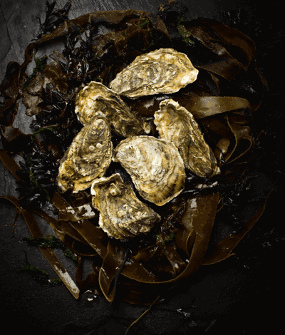 Fresh unopened oysters from local irish producers