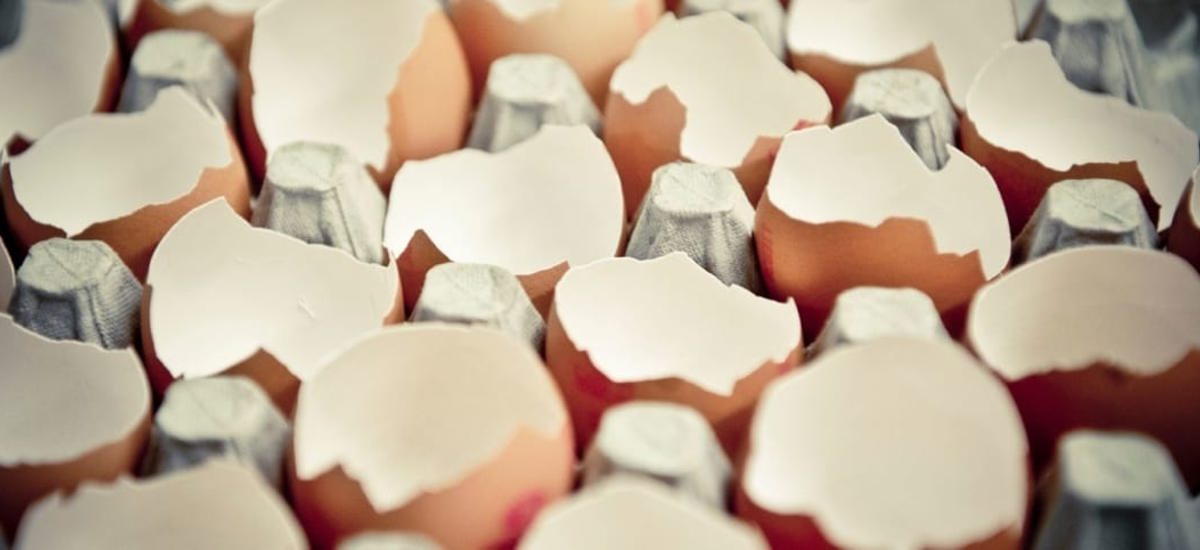 cracked eggs in egg carton